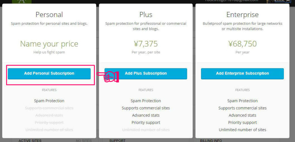 Akismetを設定する手順4