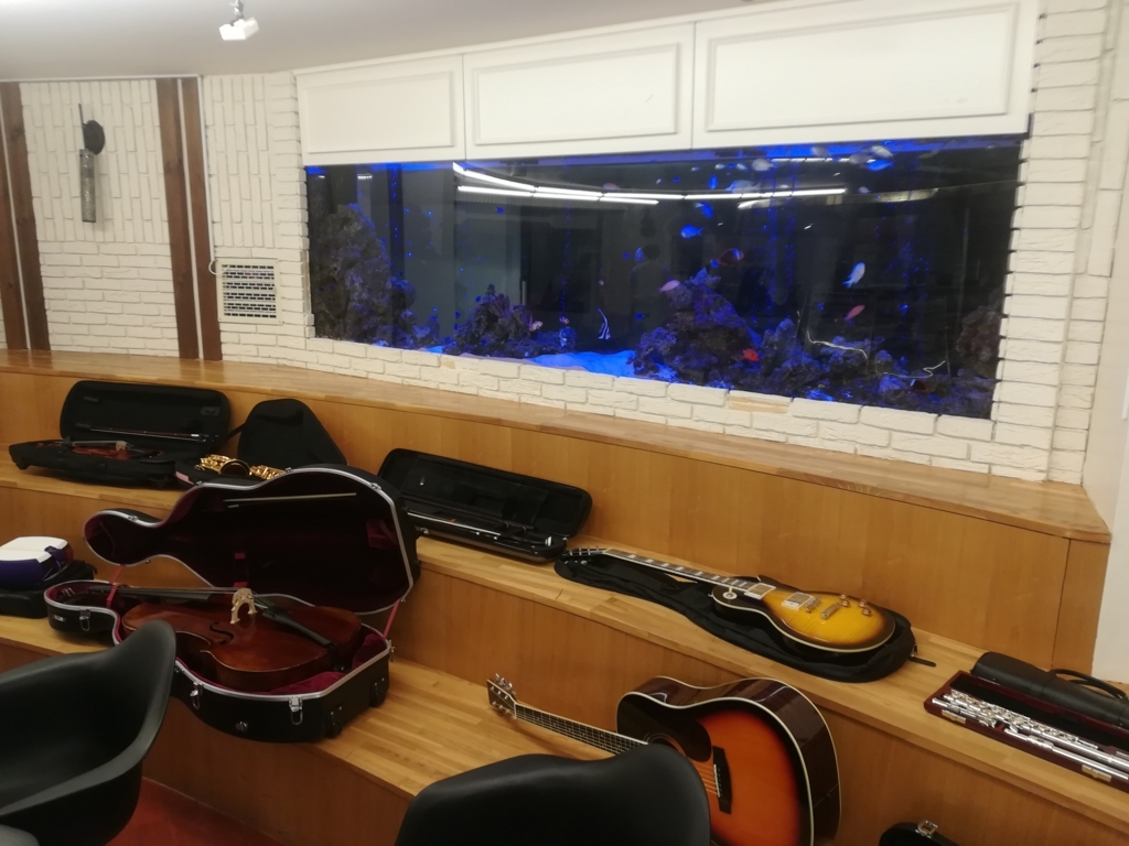 EYS音楽教室の楽器プレゼントで貰える楽器